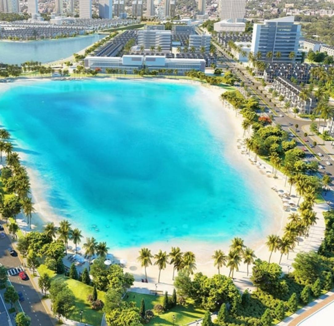 Dự án cung cấp cây trồng cho bãi biển nhân tạo Vinhomes Ocean Park