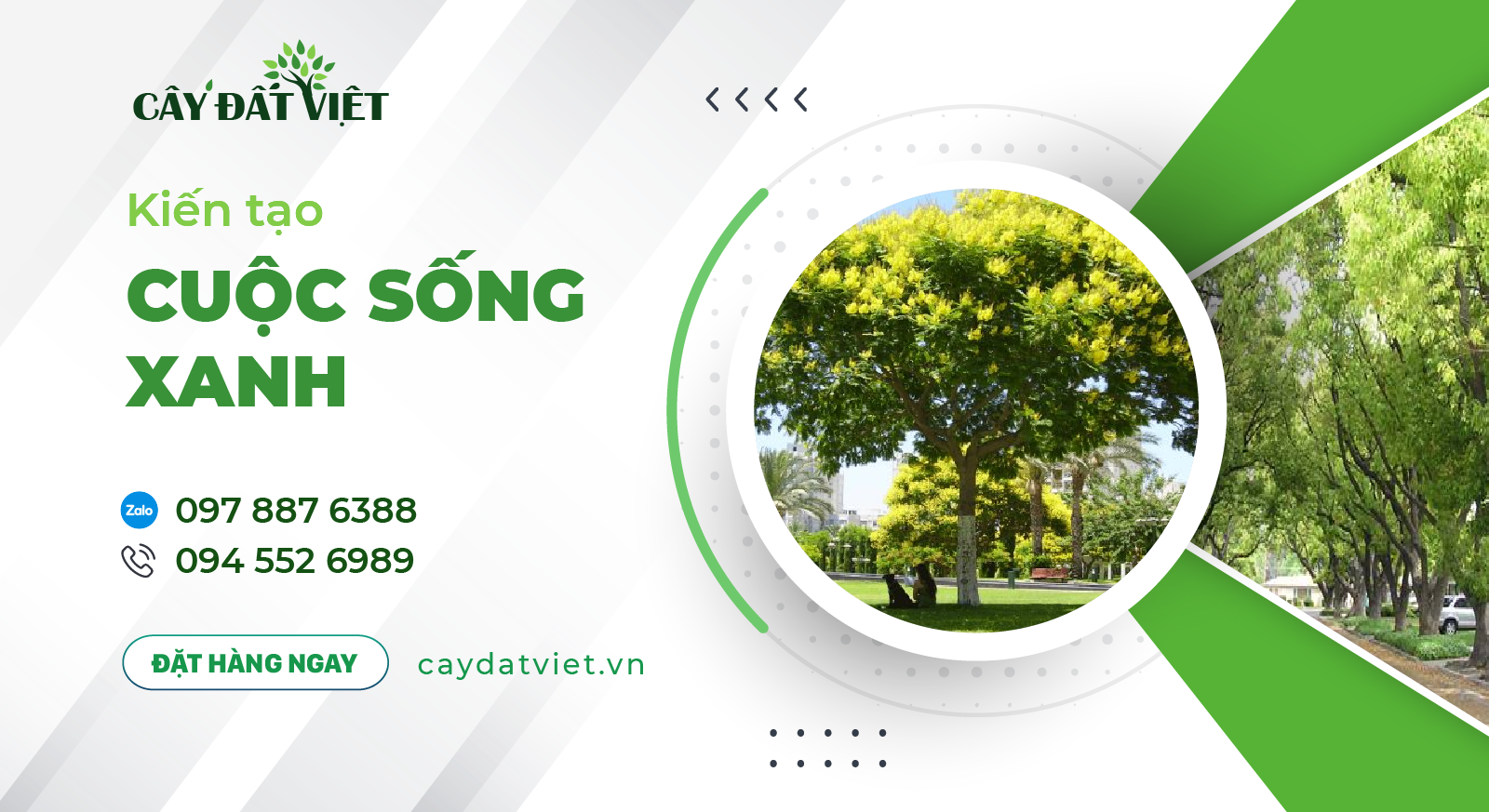Cây Đất Việt